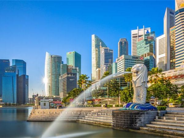 新加坡回上海国际机票-航空机票代理-嘉兴紫腾票务